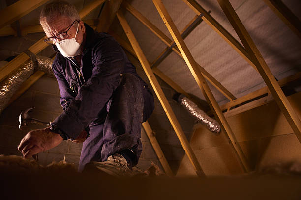 Best Home Insulation Services  in Gosport, IN